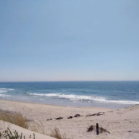 Sal, Terra E Mar אבאירו